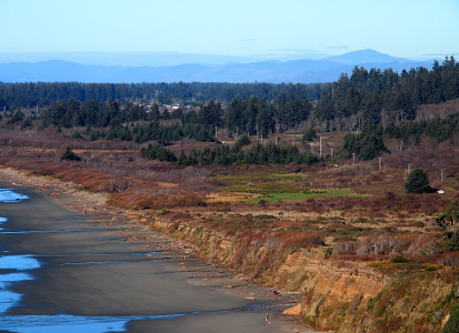 [The land which meets the beach rises in short cliffs above it. These cliffs have grassy and tree'd tops. Mountains are seen in the hazy distance while reaches of water lap the sand below the cliffs.]